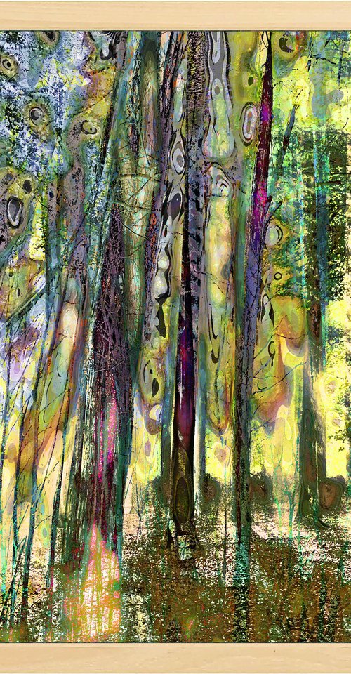 Mysterious Forrest opus 17 by Geert Lemmers FPA