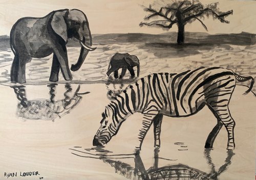 Zebra and Elephants at Waterhole by Ryan  Louder