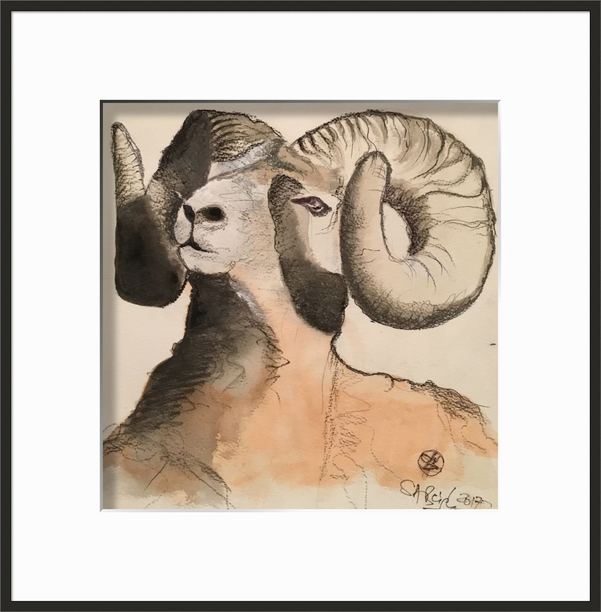 Illustrative Animal Ink Drawing By Shabs Beigh, 20 X 20", Staring Ram ????, Original Artwork
