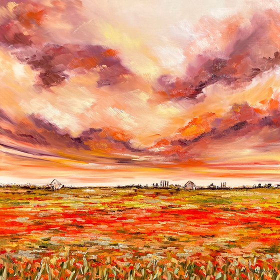 Poppy field, 66 x 66 cm