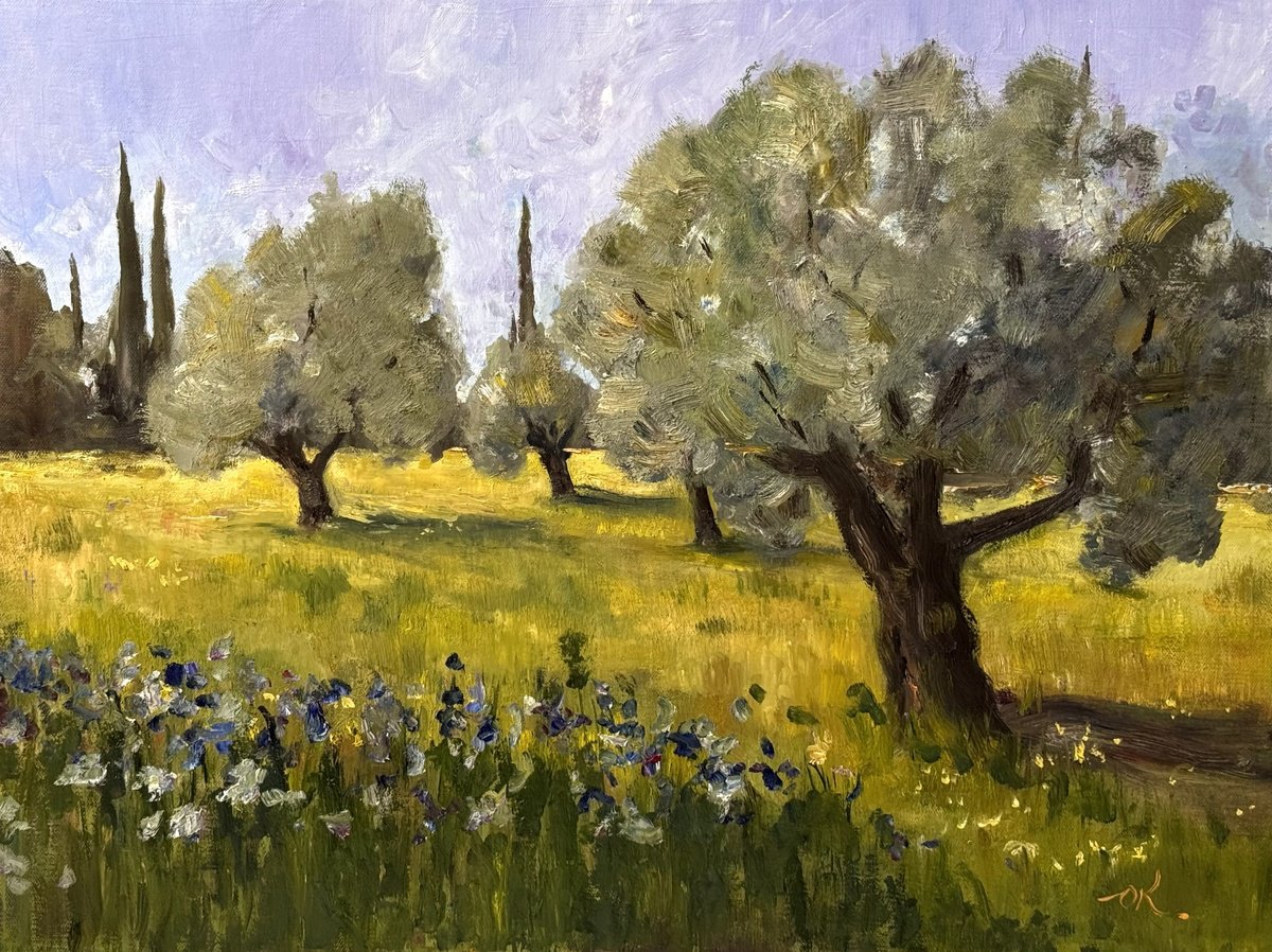 Olive Trees Of Acre By Oleg Kamaev, 35 X 28, Artwork For Sale On Artfinder