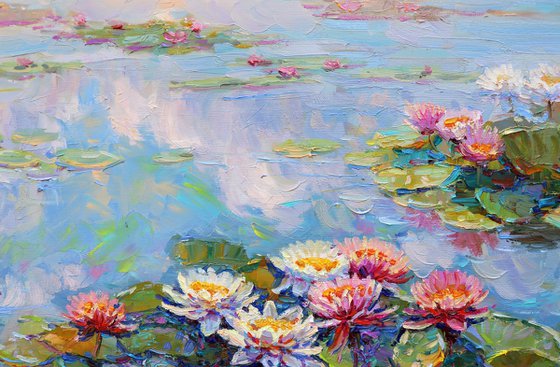 "Water lilies"
