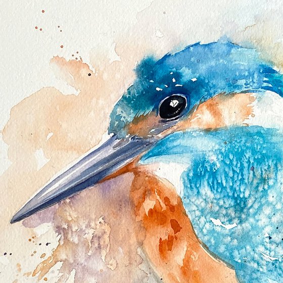 Kingfisher Kraig
