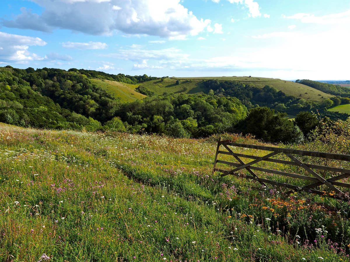 Photorealistic Landscape Photograph By Alex Cassels, 24 X 18, Summer On Old Winchester Hill, Original Artwork