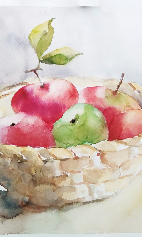 Apples in basket, artwork, watercolor illustration by Tanya Amos