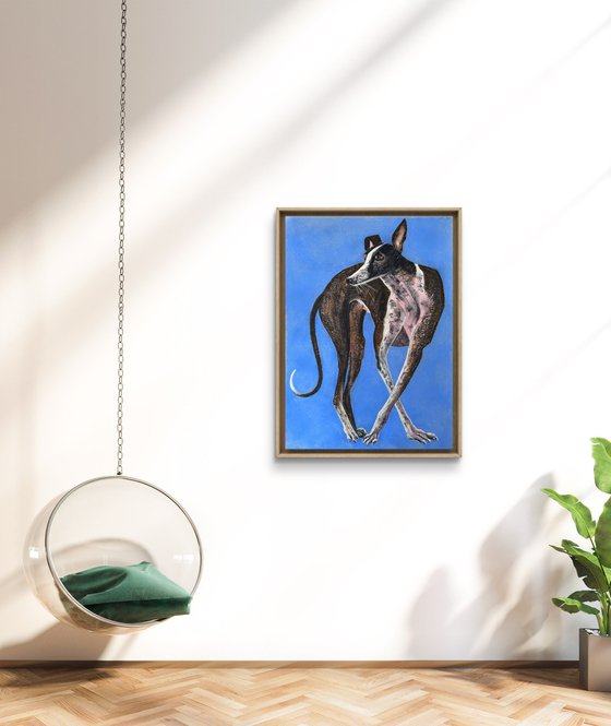 Dogs Portrait Soft Pastel Galgo español