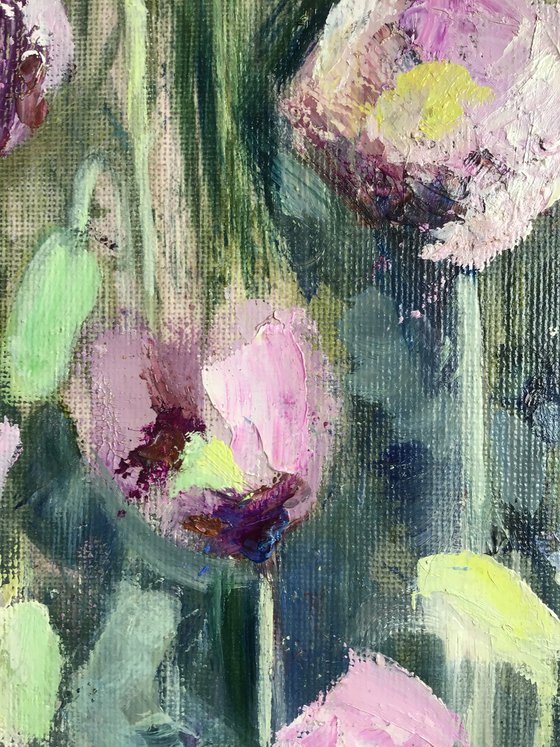 Purple Poppies