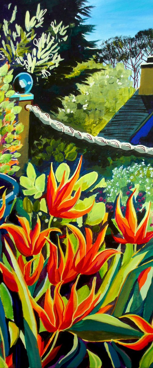 Ballerina Tulips on the patio by Julia  Rigby