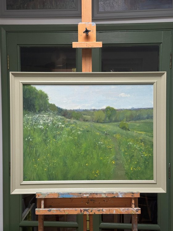 Buttercups and Cow Parsley