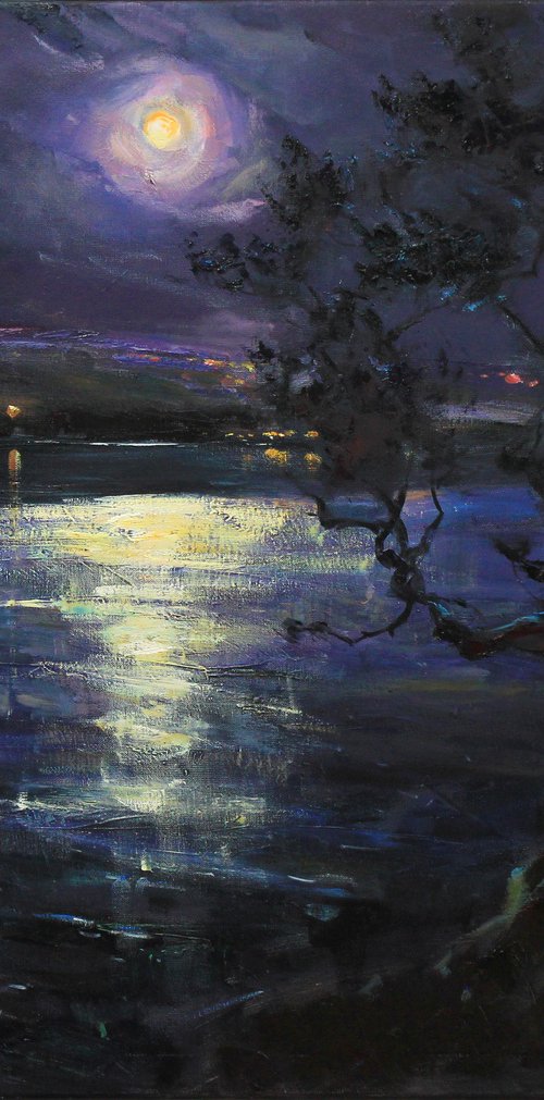 In the night by Alisa Onipchenko-Cherniakovska