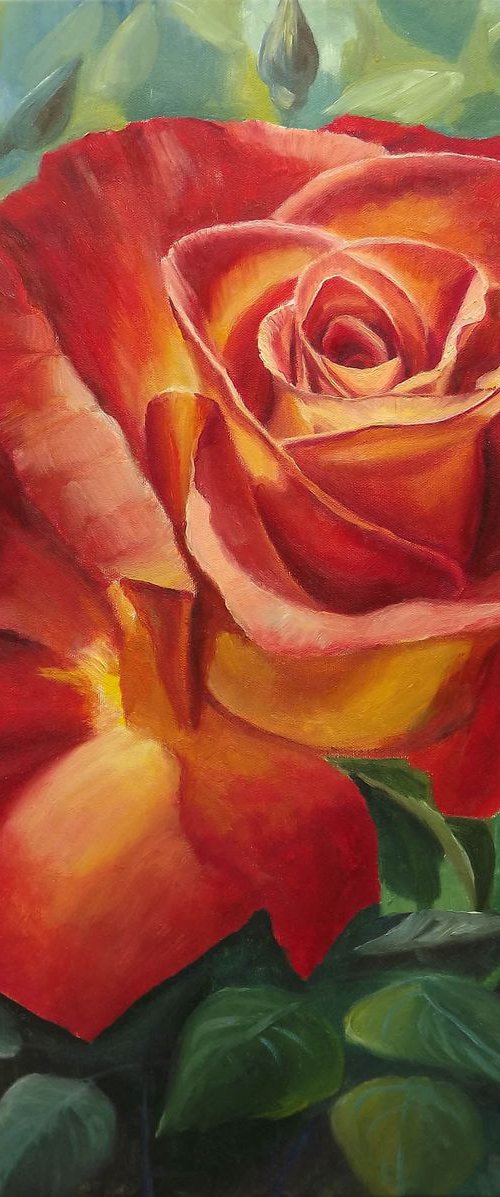 Rose by Dalia Barke