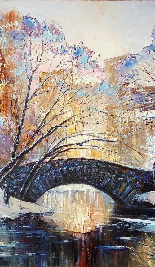 New York Central park by Artem Grunyka