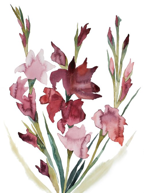 Gladiolus No. 2 by Elizabeth Becker