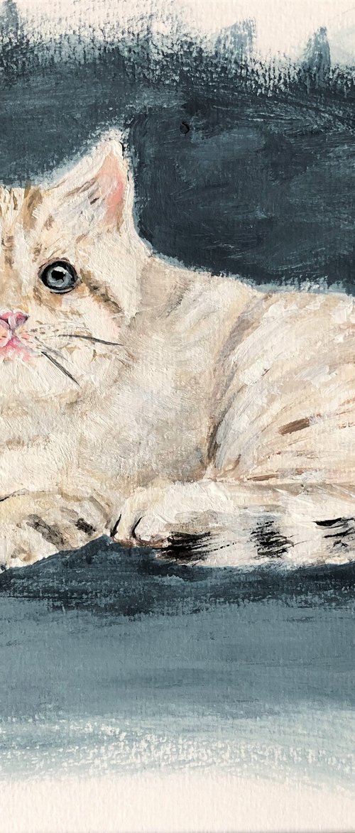 Kitten for adoption by Lena Smirnova