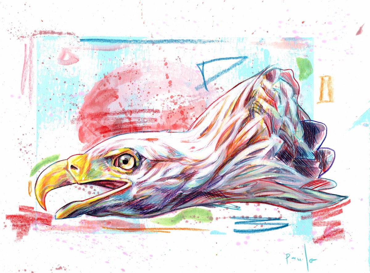 Illustrative Animal Pencil Drawing By Paul Ward, 8 X 11", White-Tailed Eagle, Original Artwork