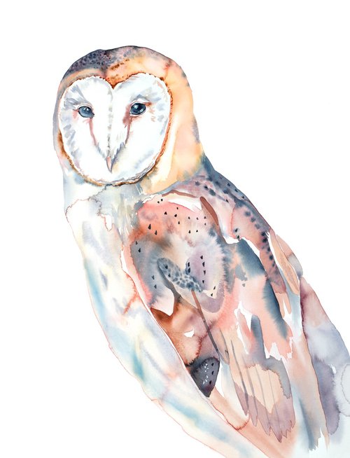 Barn Owl No. 7 by Elizabeth Becker