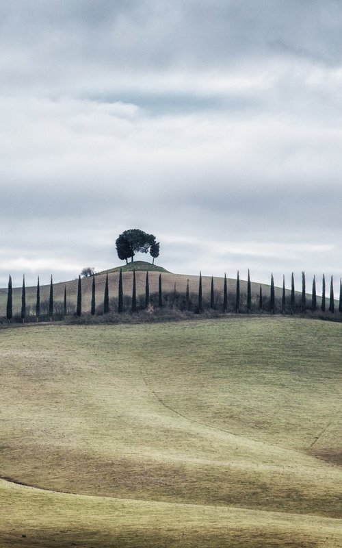 Tuscan hill with a cypress by Karim Carella