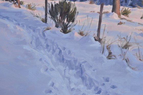 Twilight over the Mézenc