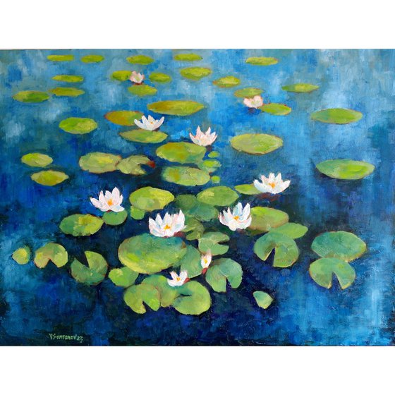 Water Lilies