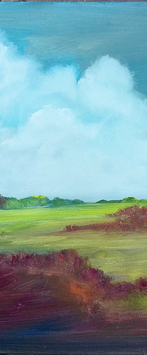 A view of Spring Grassland by Kevin Blake