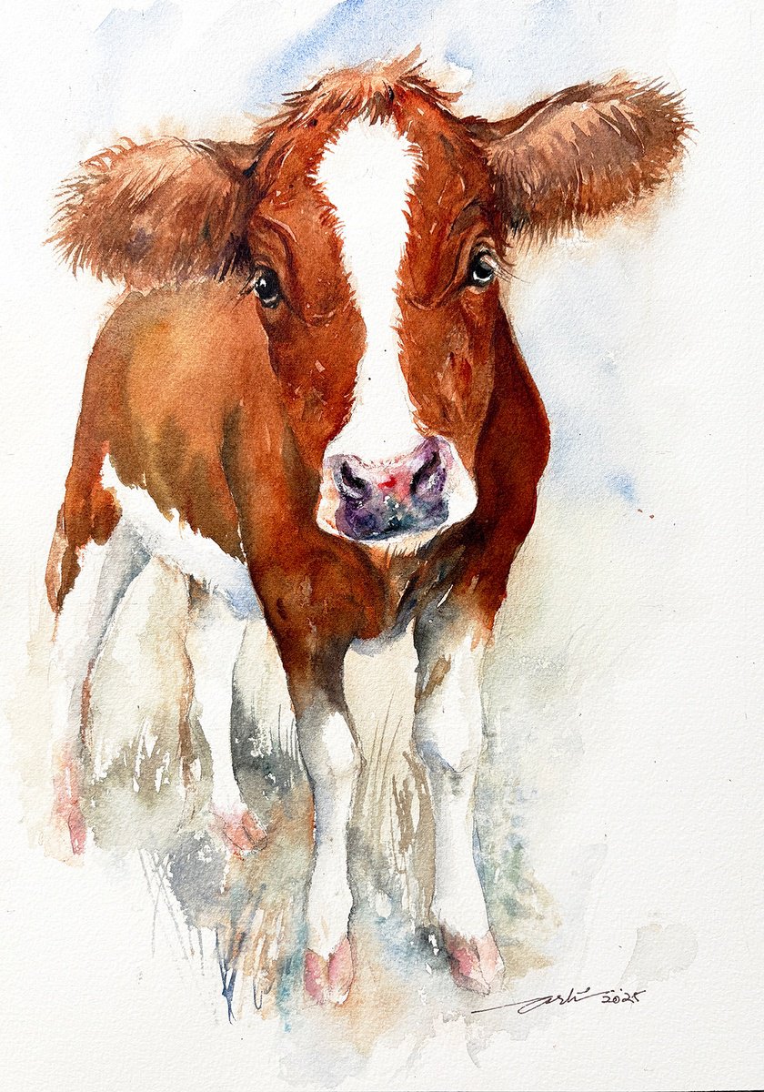 Photorealistic Animal Watercolour By Arti Chauhan, 13 X 17, Cow_Hello, Human!, Original Artwork