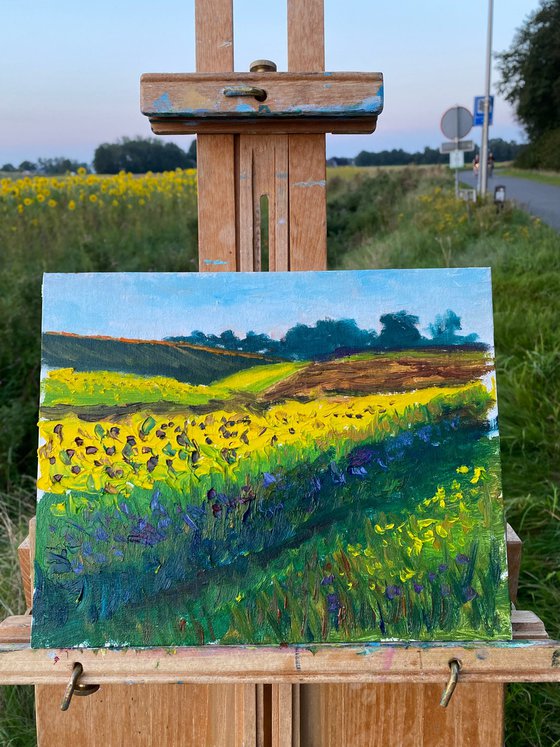 Sunflowers field. Plein air