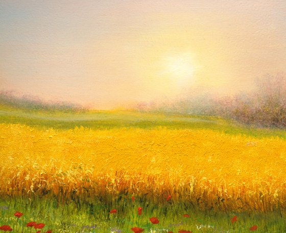 Wheat field in summer