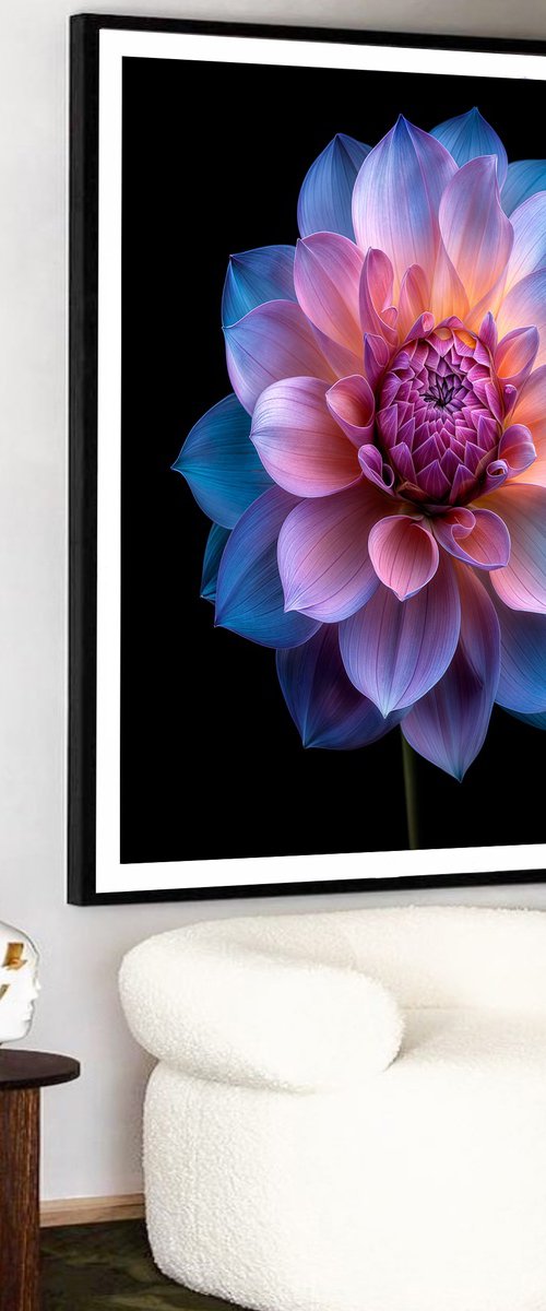 Rainbow Dahlia 2 by MICHAEL FILONOW