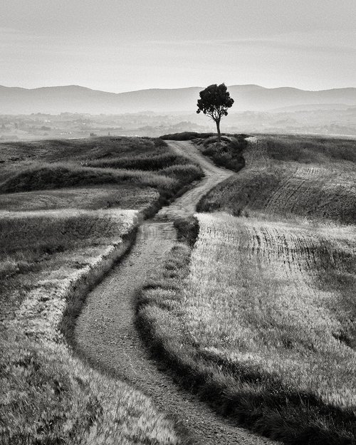 Countryside in Tuscany - Black and white landscape art photo by Peter Zelei