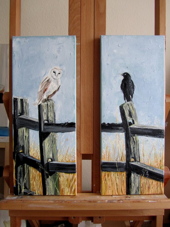 White Owl and Black Raven