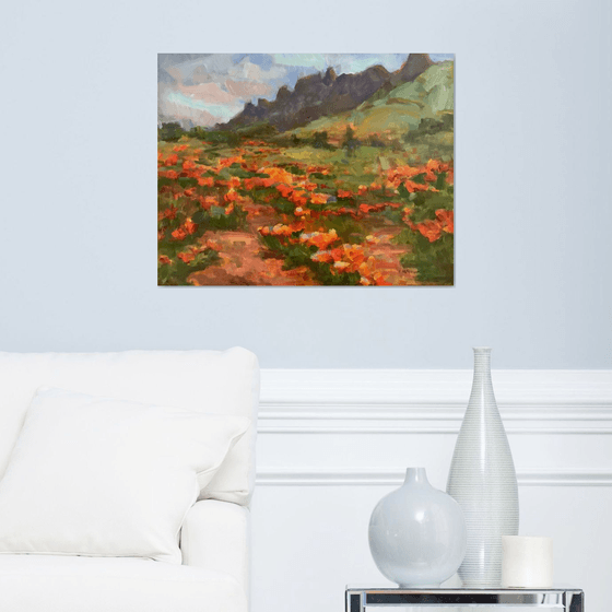 Desert in Spring
