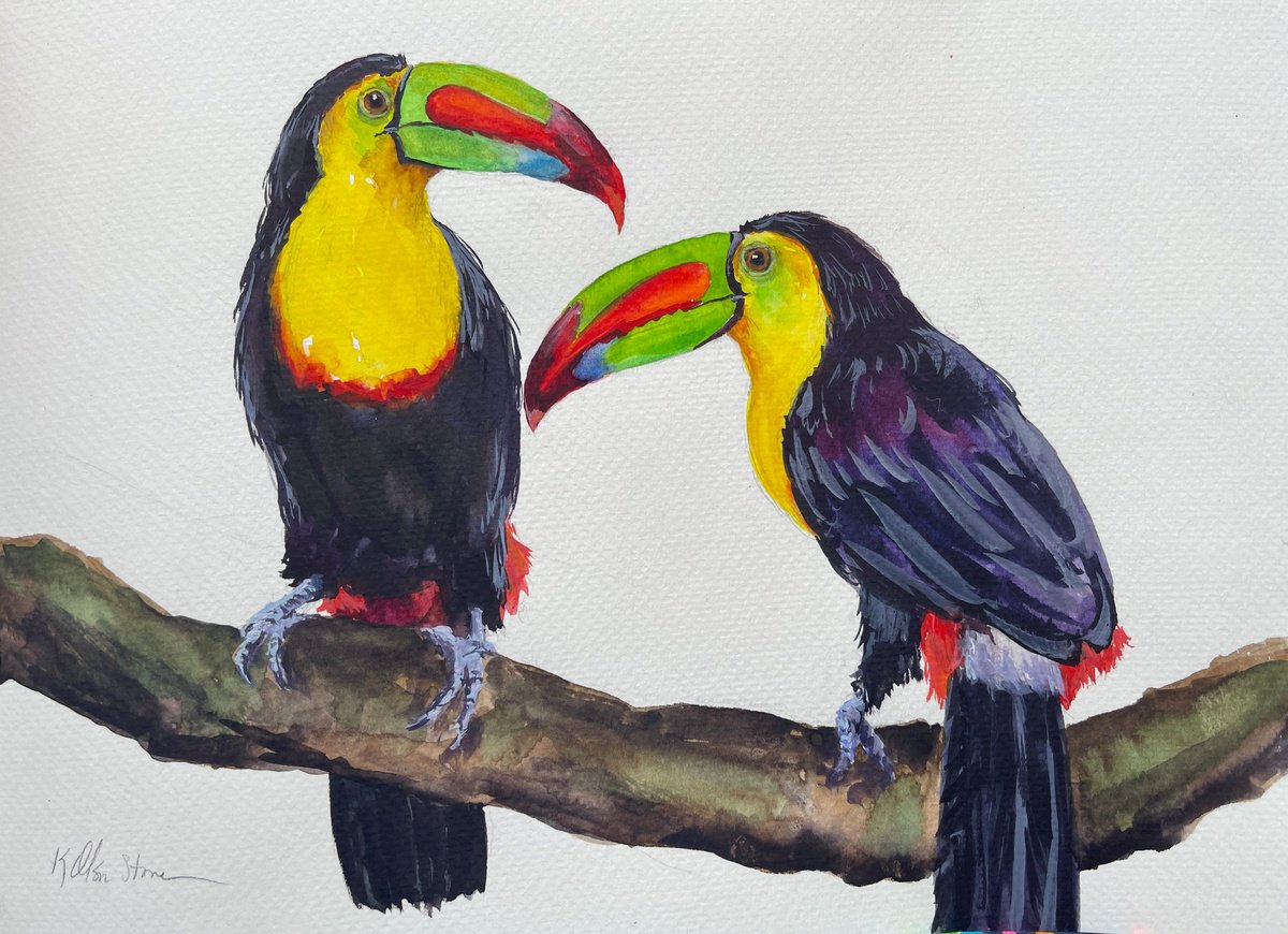 Cheeky Toucans by Kristen Olson Stone