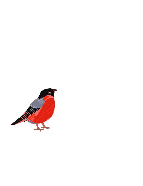 A BULLFINCH BIRD