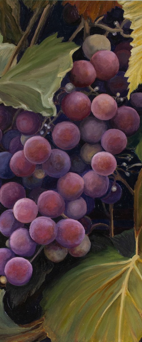 Grapevine by Sandra Bryant