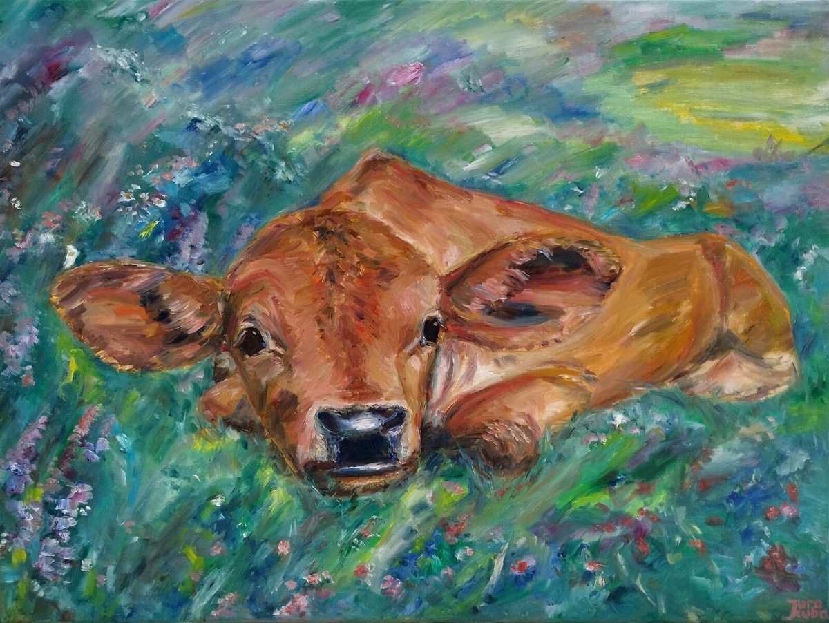 Animal Oil Painting By Jura Kuba Art, 31 X 24", Salvia, The Cow, Original Artwork