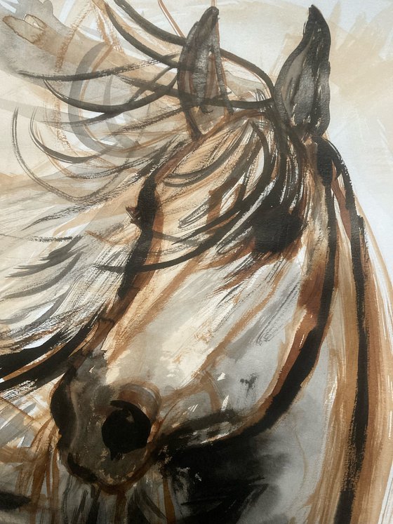 Sienna horse, dynamic horse sketch