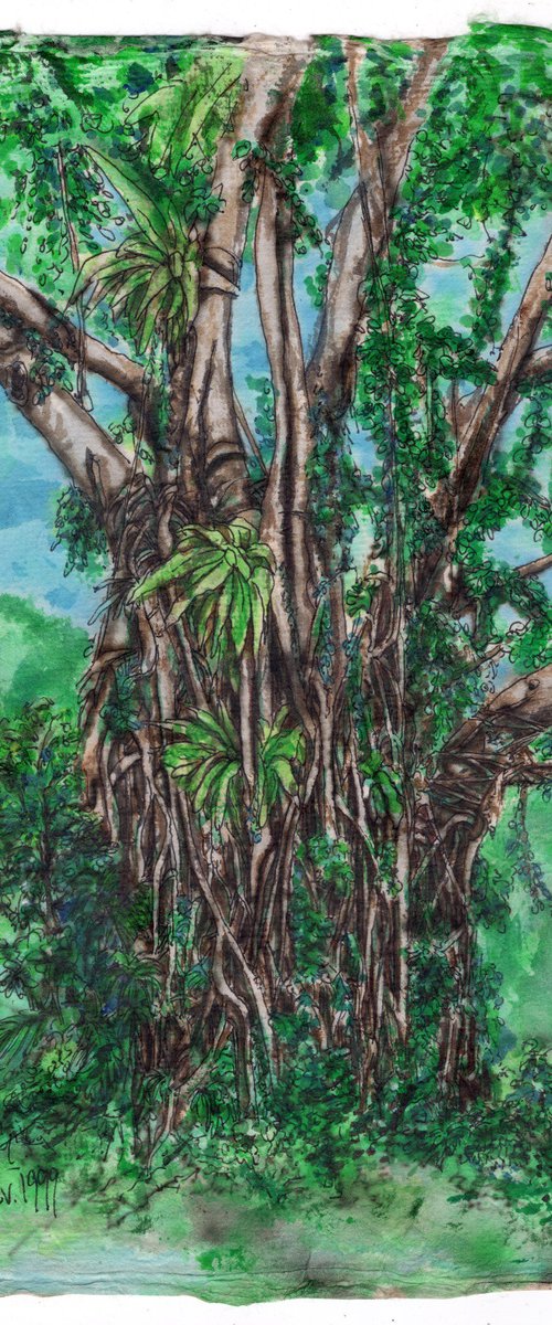 Tree by Gordon T.