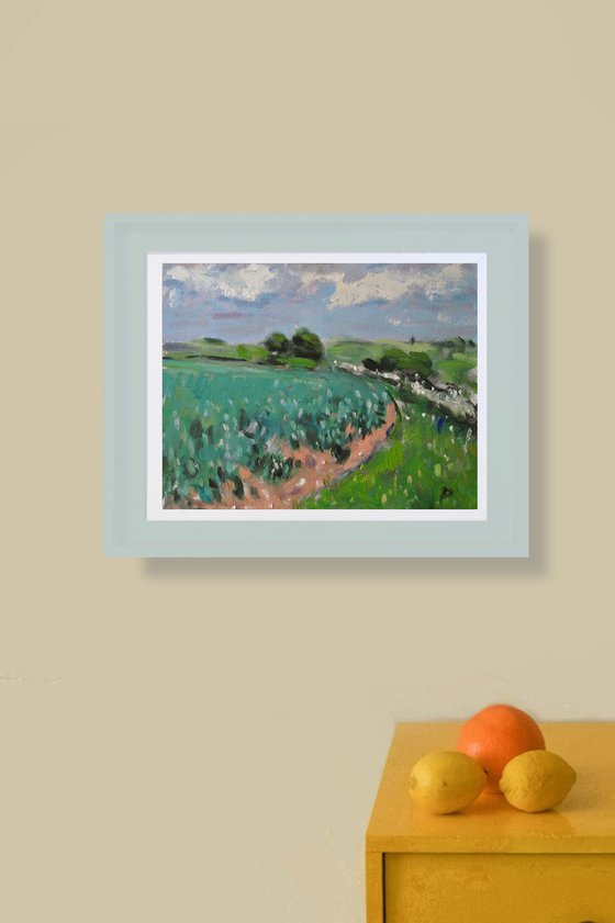 Corner of a Field