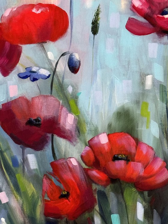 Poppies Land 12