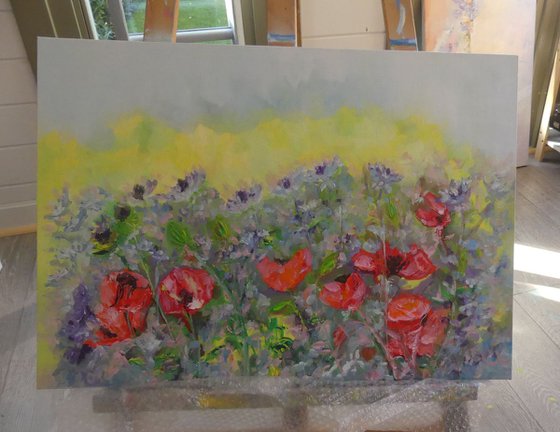 Garden Poppies