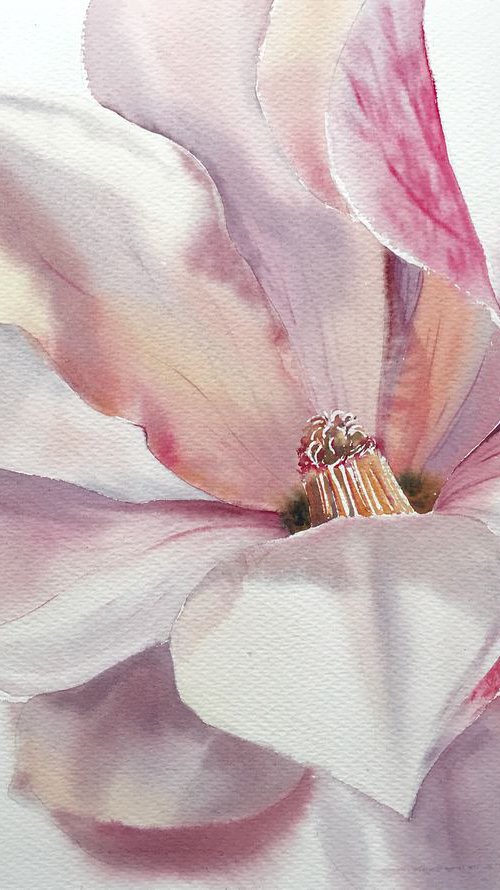 Magnolia Flower by Eugenia Gorbacheva