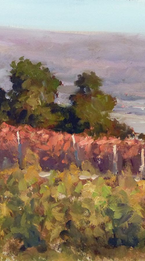 Evening in the Vineyards by Pascal Giroud