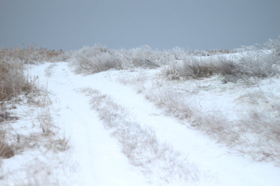 Series "Winter in Ukraine" #6