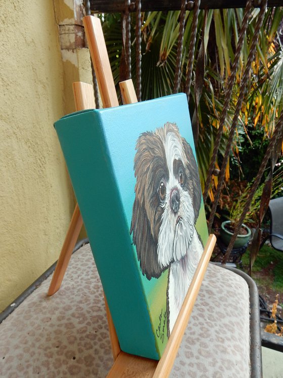 Shih Tzu Pet Dog Original Art Painting-8 x 8 Inches Stretched Canvas-Carla Smale