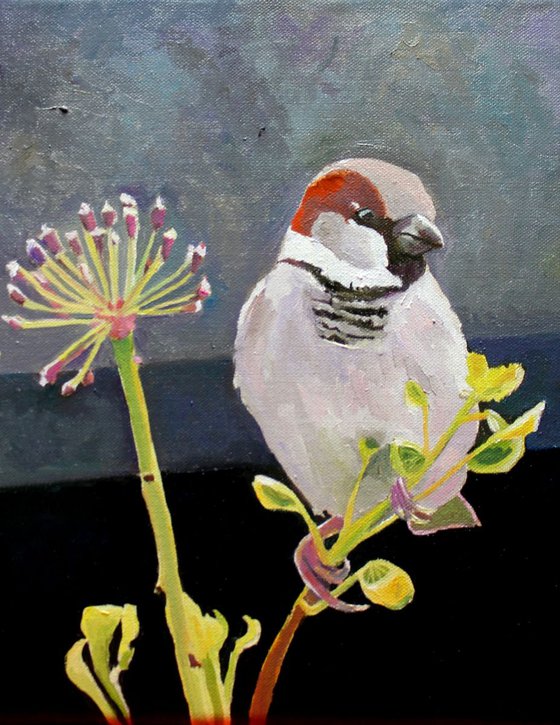 Tullamore Sparrow