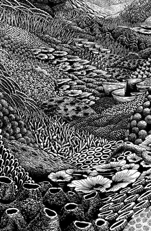 Sprawl by Jon Renzella