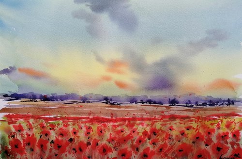 poppies field 2 by Giorgio Gosti