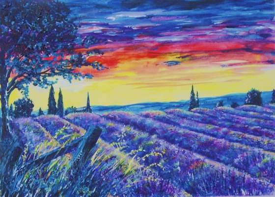 French Lavender Fields