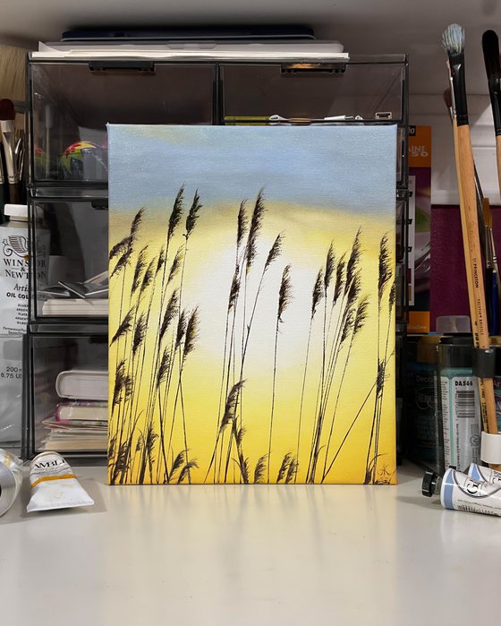 Seagrass on a Sunrise