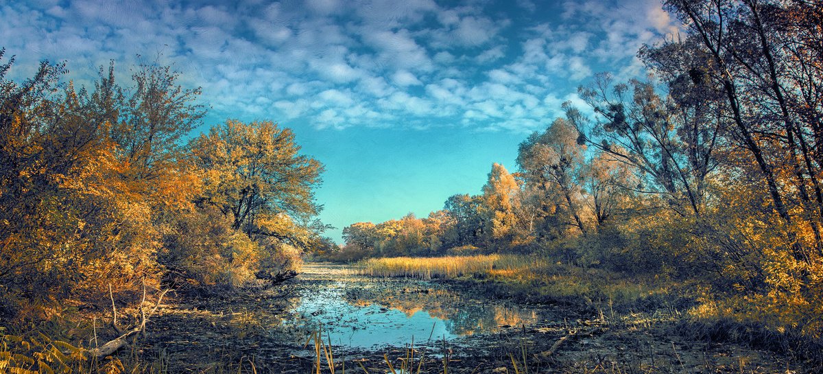 Photorealistic Landscape Photograph By Valerix, 43 X 20", Gold Of Abandoned Autumn., Original Artwork